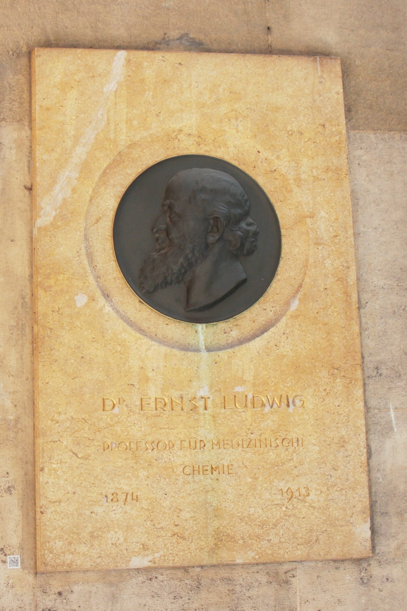 Ernst%20Ludwig%27s%20medallion%2C%20Medical%20monuments%2C%20UNI%20Vienna%20-%2002.JPG